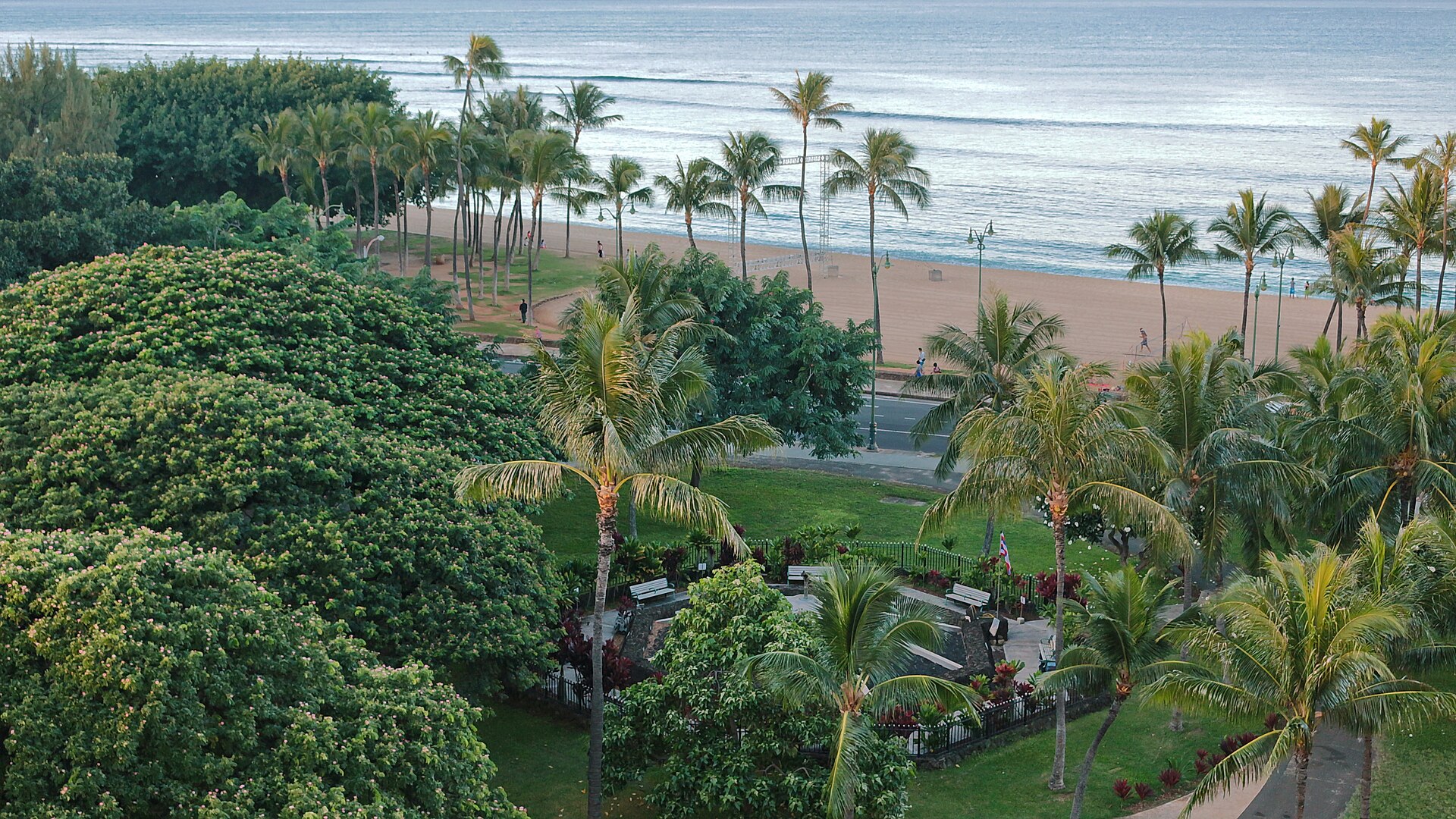 Palm trees along Waikiki Beach in Honolulu, Hawaii